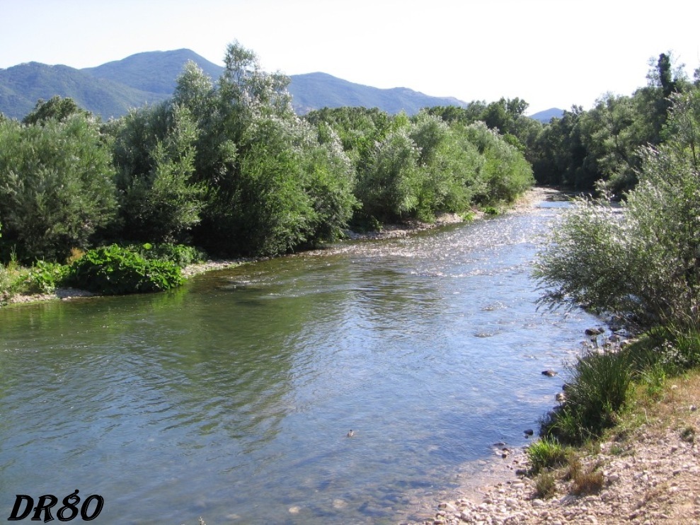 Zona di interesse erpetologico...e non solo!!!